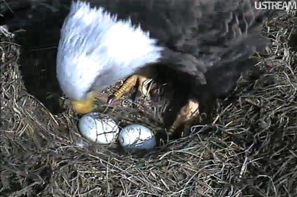 ScreenHunter_03 Feb. 22 14.30.jpg